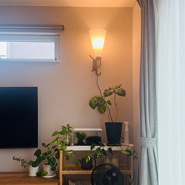 kurinokiさんの部屋