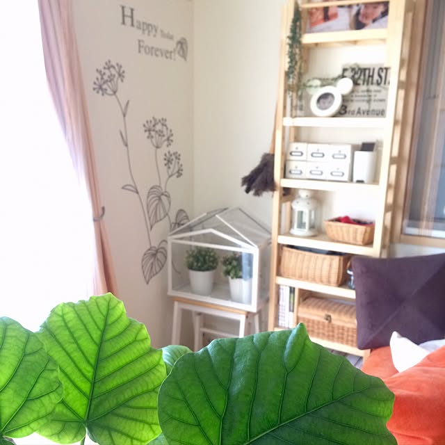 miyuさんの実例写真