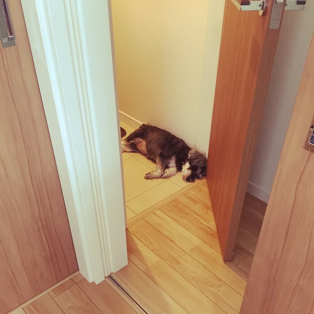 tamaeさんの実例写真