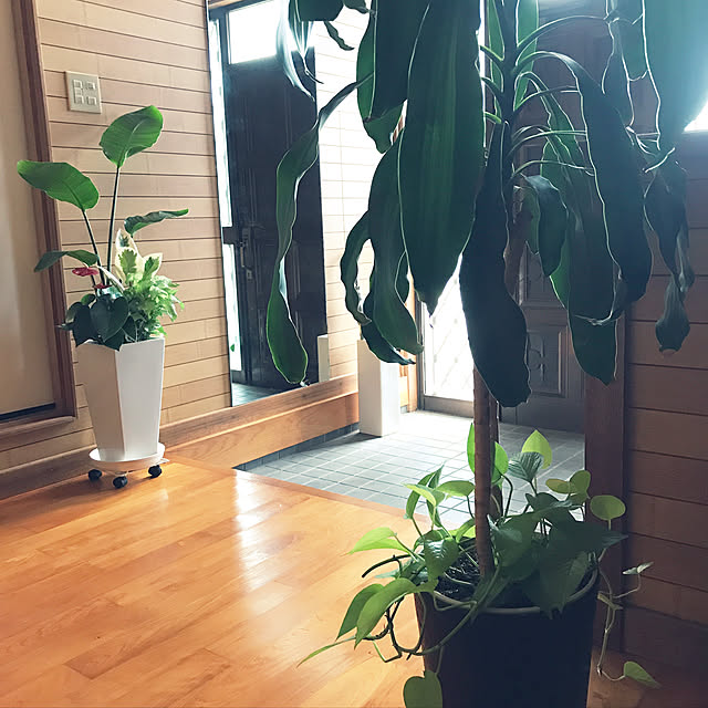 bobb2081さんの実例写真