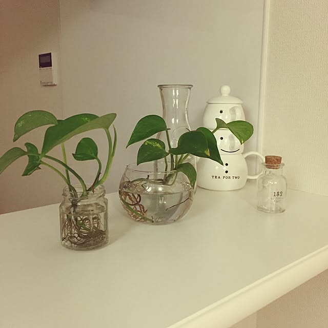実例写真