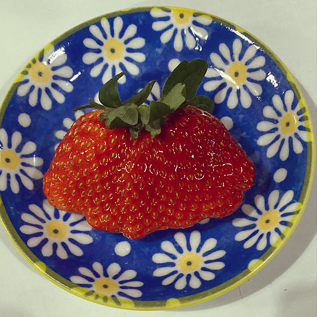 mokurenさんの実例写真