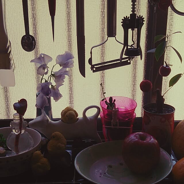 kikuさんの実例写真