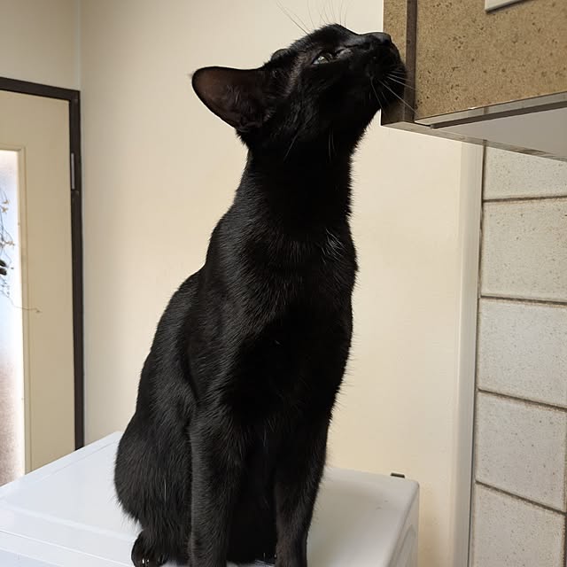 asaさんの部屋