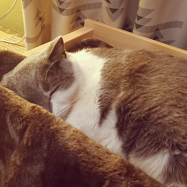rhuさんの実例写真