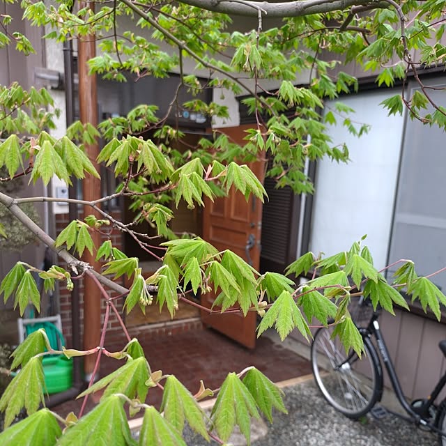 NOAHさんの実例写真