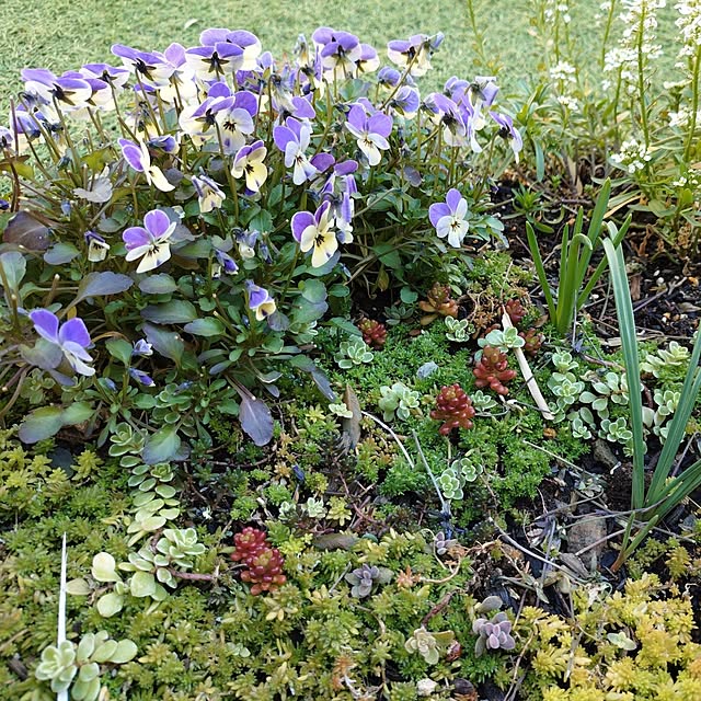 coconathuさんの部屋