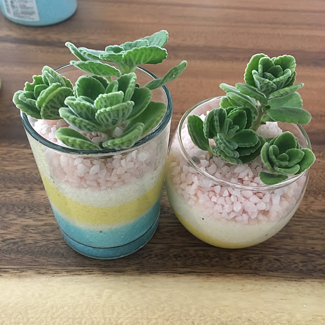 yuuhinaさんの実例写真