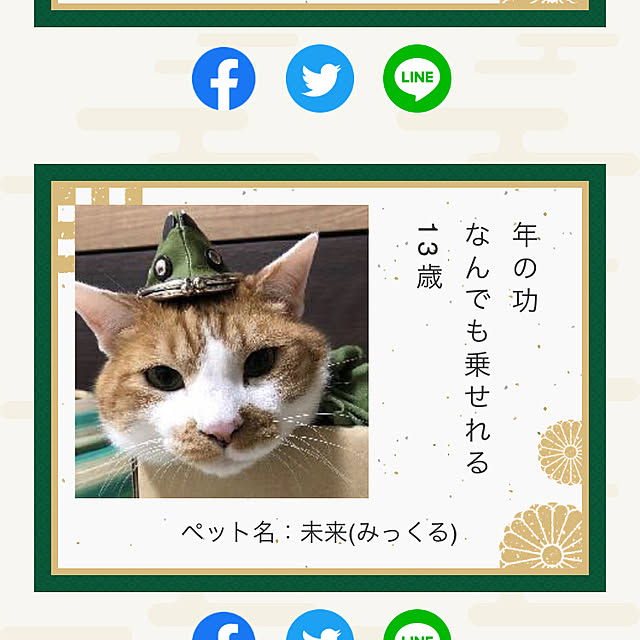 mikenekoさんの実例写真