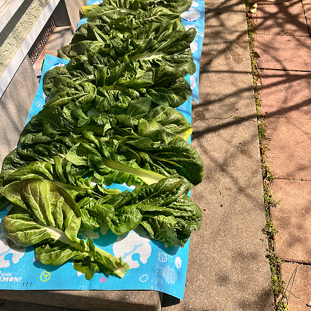 tomorinさんの部屋