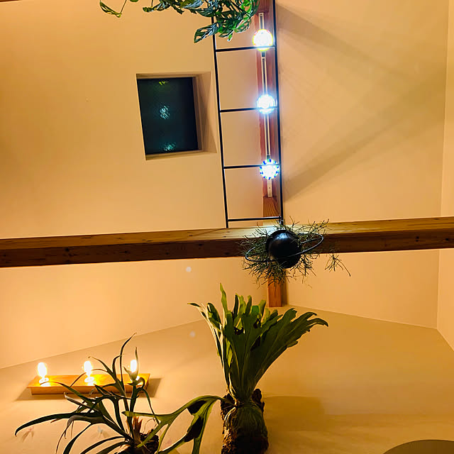 plantsholicさんの実例写真