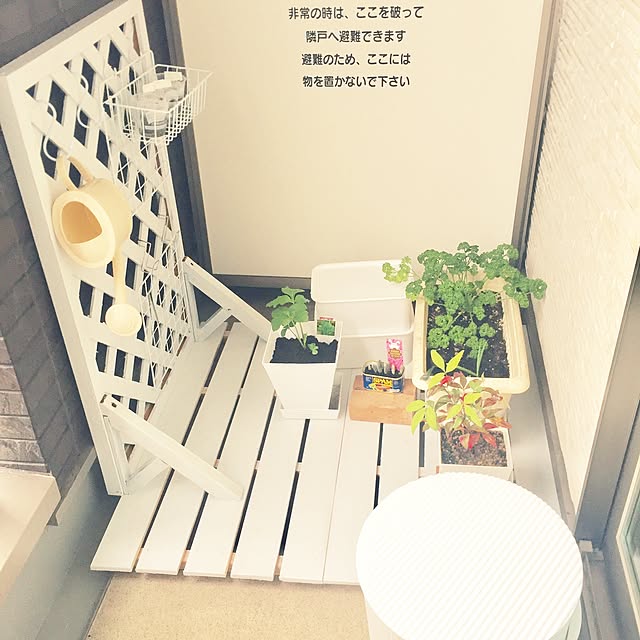 merinさんの実例写真
