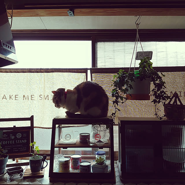 fukuさんの実例写真