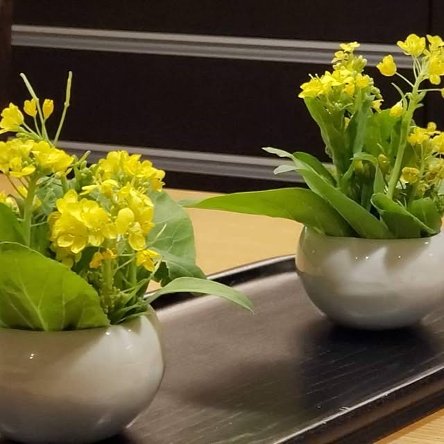 guchieさんの部屋