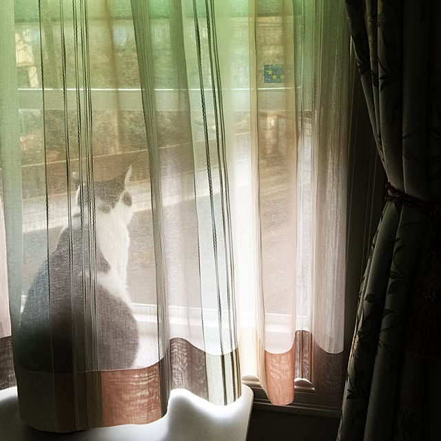 yuchiさんの実例写真