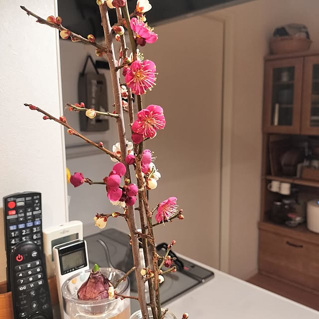 ayumiさんの部屋