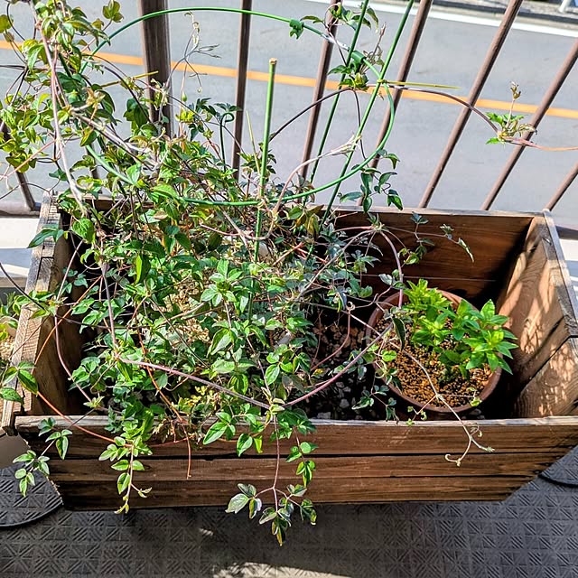 mi-saさんの部屋