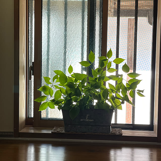 cota2さんの部屋