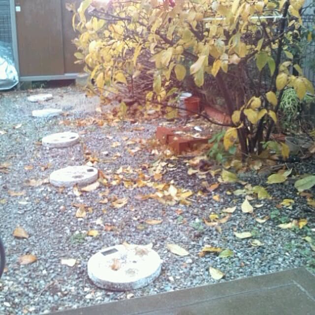 asa0521さんの実例写真