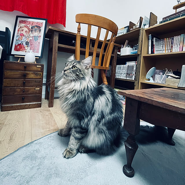 mayumiさんの実例写真