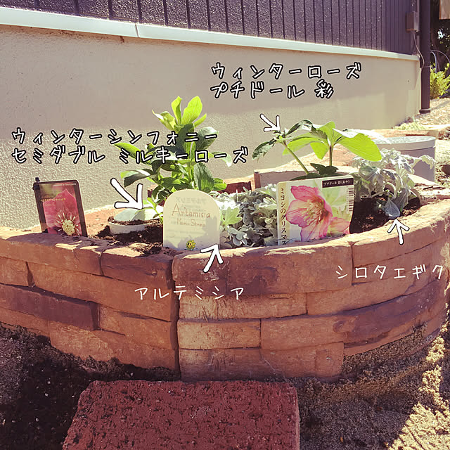 Ysd_Jun_21さんの実例写真