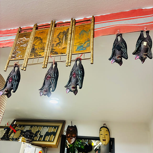 takakuzenさんの実例写真