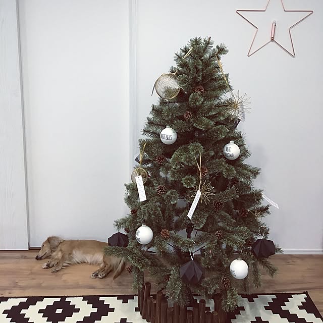 MIDOさんの実例写真