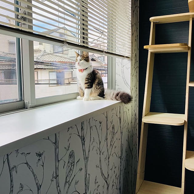 sakura_171220さんの実例写真