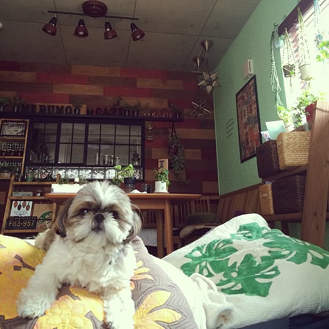 ANNAさんの実例写真