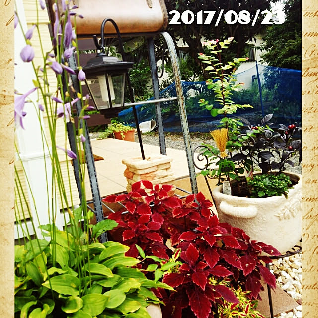 bousuke.215112さんの実例写真