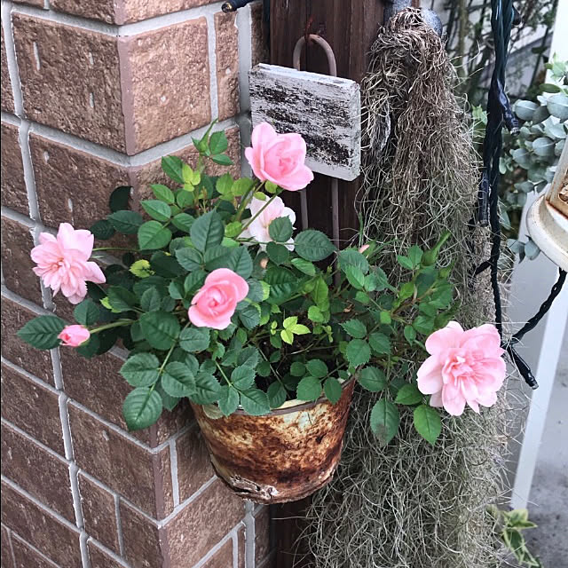 hana.hanaさんの実例写真