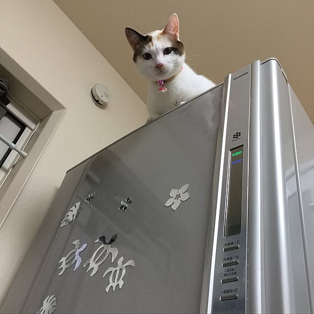 mi_koさんの実例写真