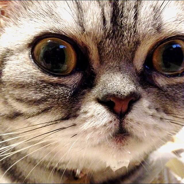 fuku48さんの実例写真