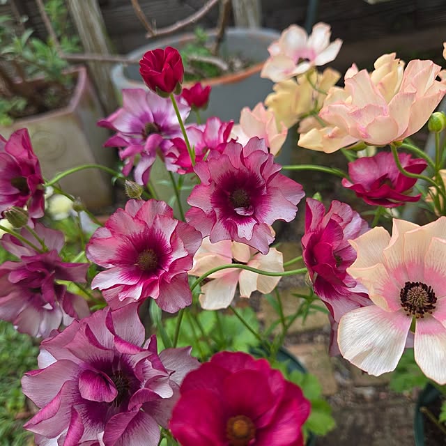 min_nimさんの実例写真