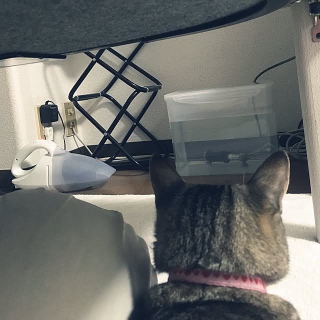 sayasさんの実例写真