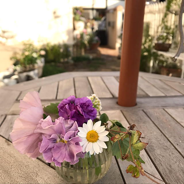 sakuraさんの実例写真