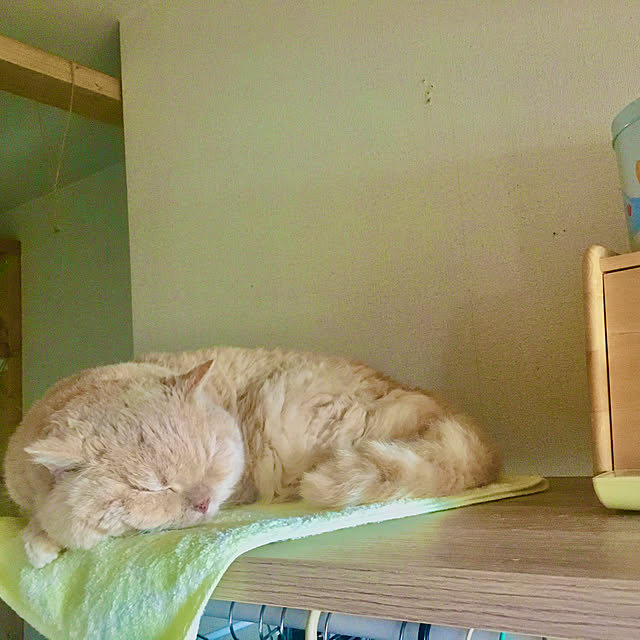 naokoさんの部屋