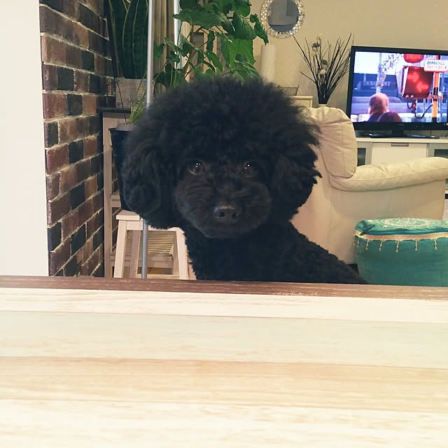 tomoppさんの実例写真