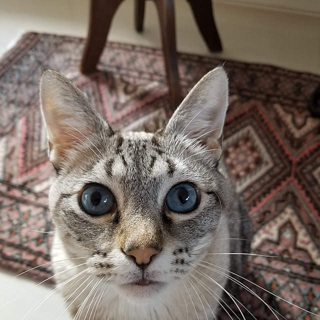 neoさんの実例写真