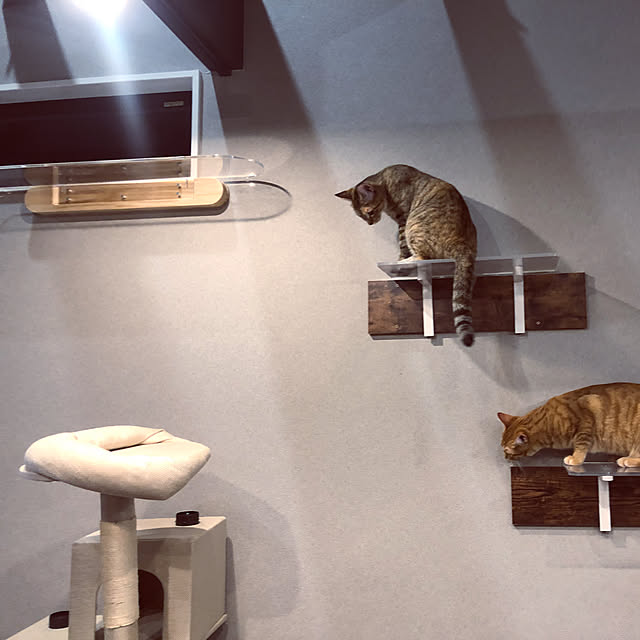 imosukeさんの実例写真