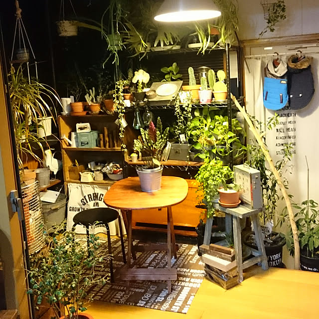 tikuwaさんの実例写真