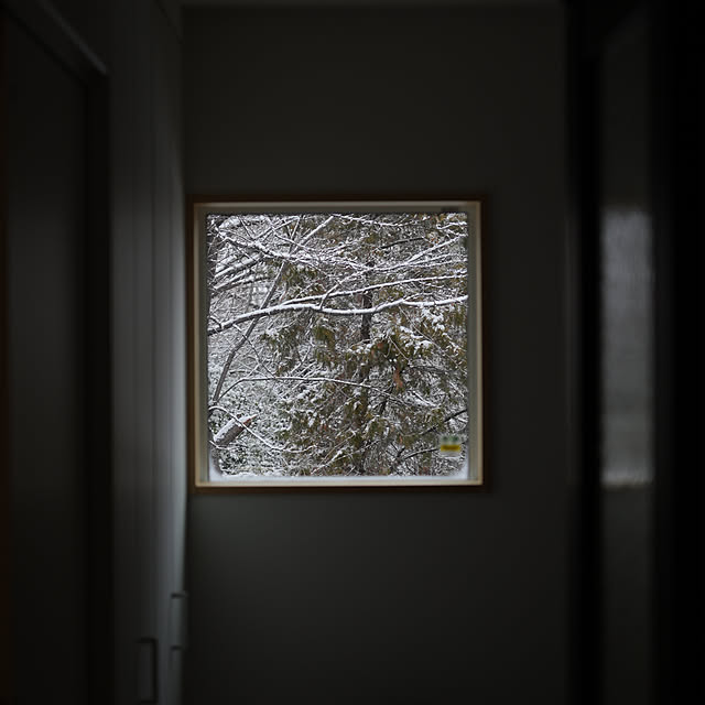 namiさんの実例写真