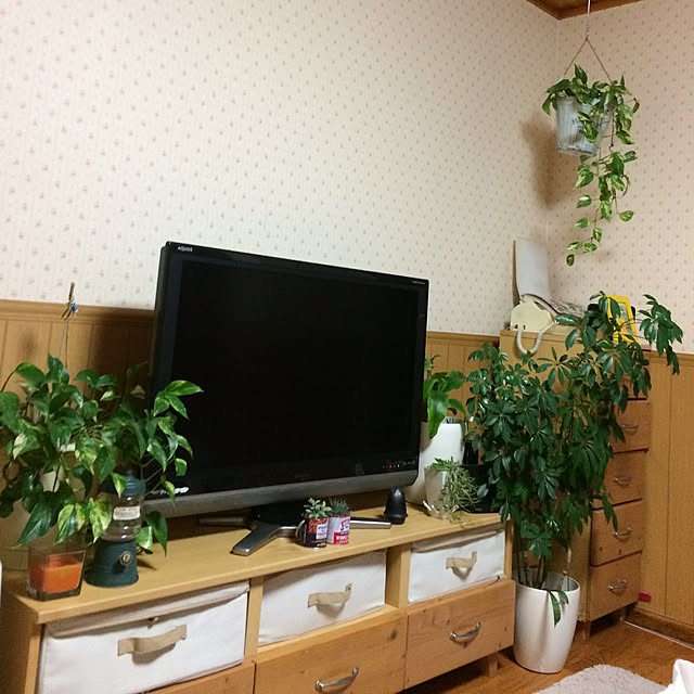 namoさんの実例写真