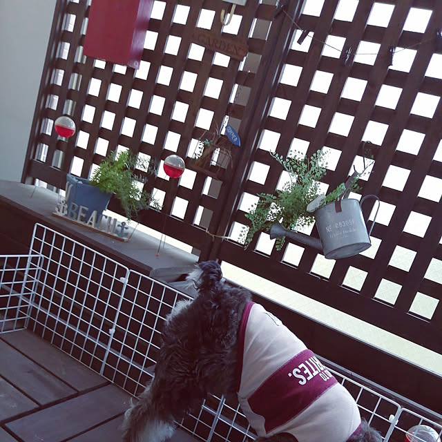 Cozy-m-Roomさんの実例写真