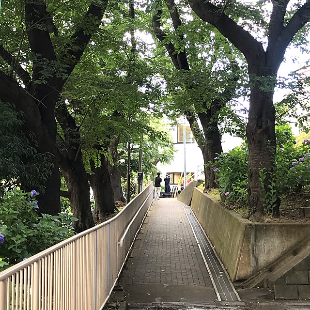 実例写真