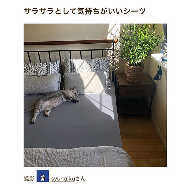 syungikuさんの部屋