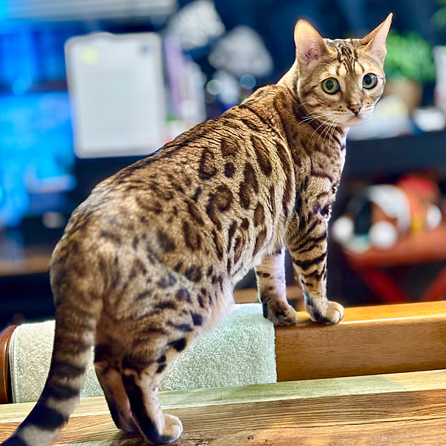 tututu0204さんの部屋