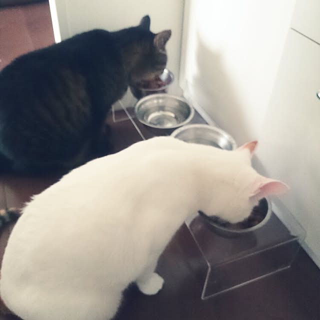 nanakichiさんの実例写真