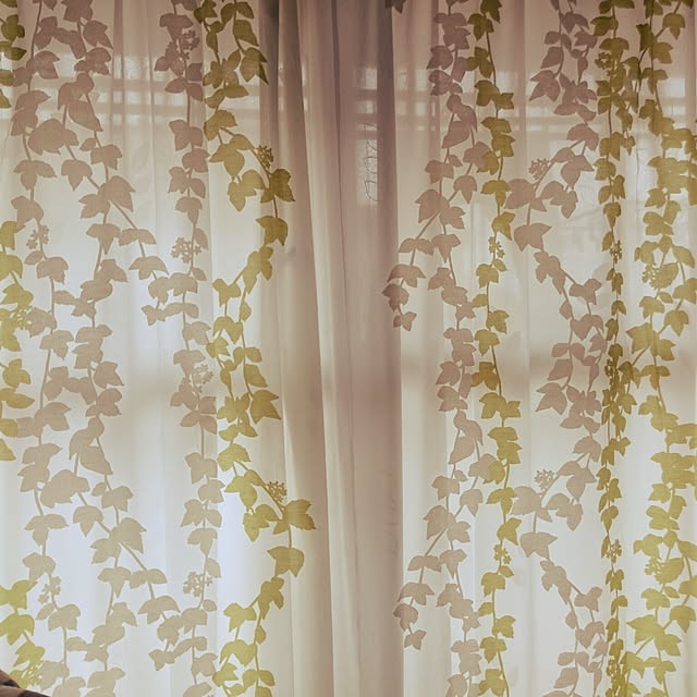 壁/天井のインテリア実例 - 2015-08-02 11:17:26
