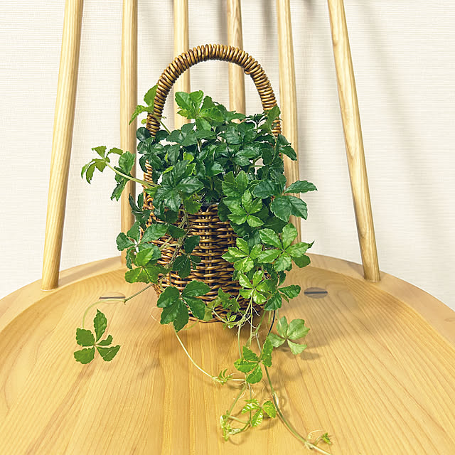 yoyoyoさんの実例写真